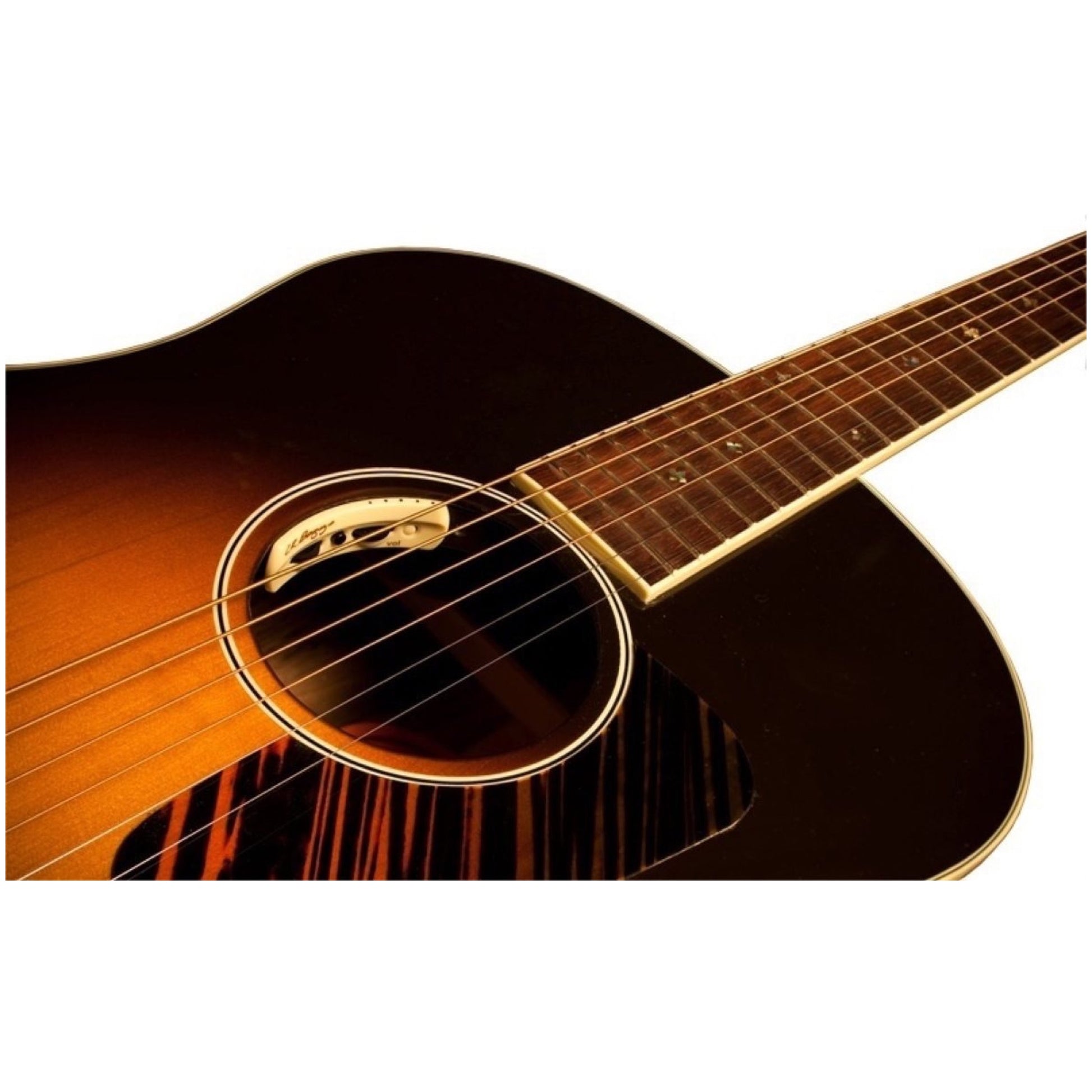 LR Baggs Anthem Internal Tru-Mic Acoustic Guitar Pickup