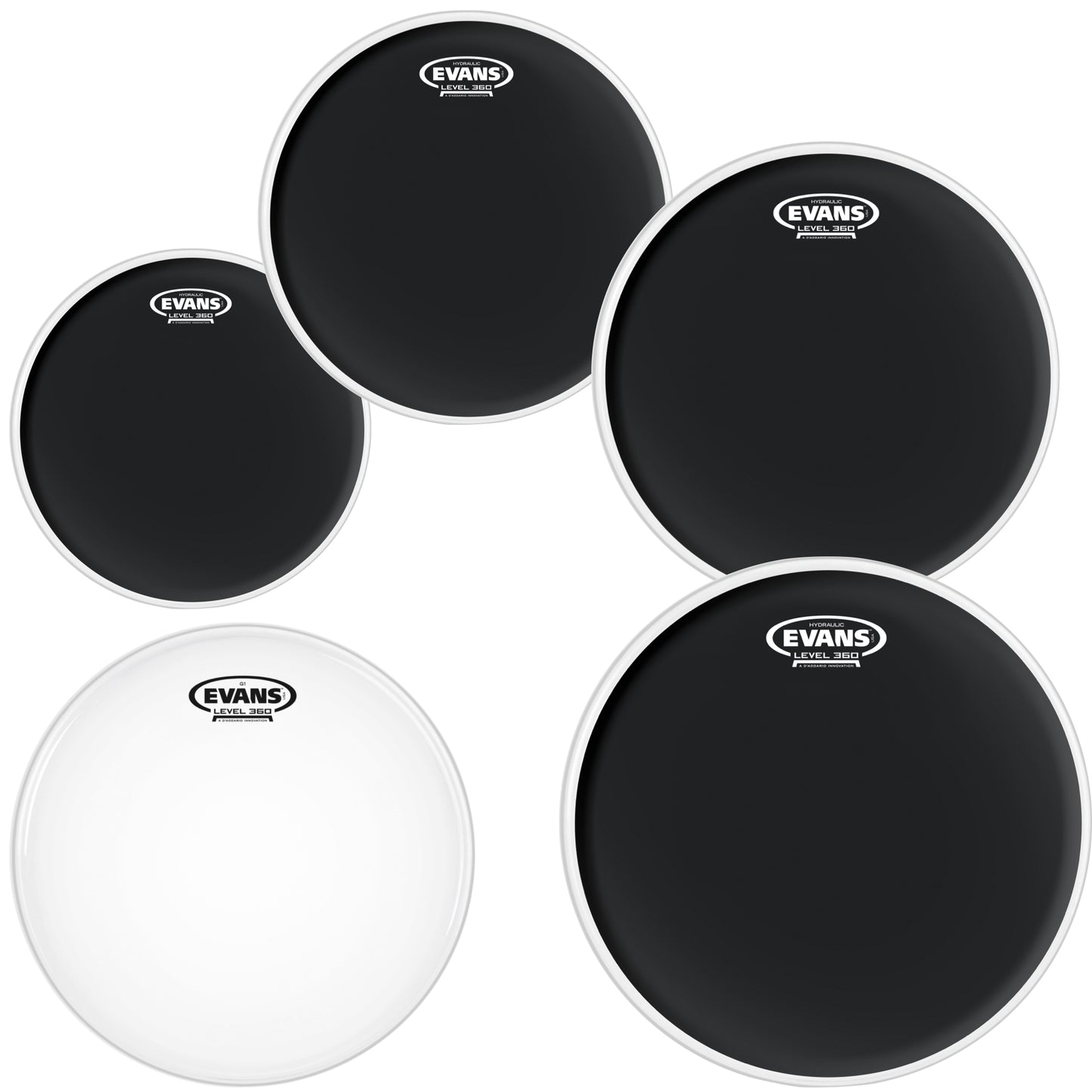 Evans Black Drumhead, Tom Pack: 10, 12, 14, 16 Inch Heads, with 14 Inch G1