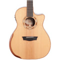 Washburn WCG15SCE12-O Deluxe Grand Auditorium 12-String Acoustic-Electric Guitar - 1