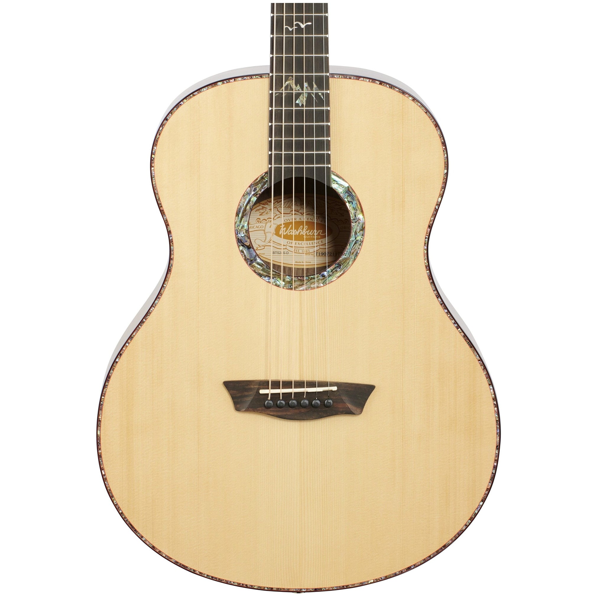 Washburn Bella Tono Elegante S24S Natural Acoustic Guitar - 1