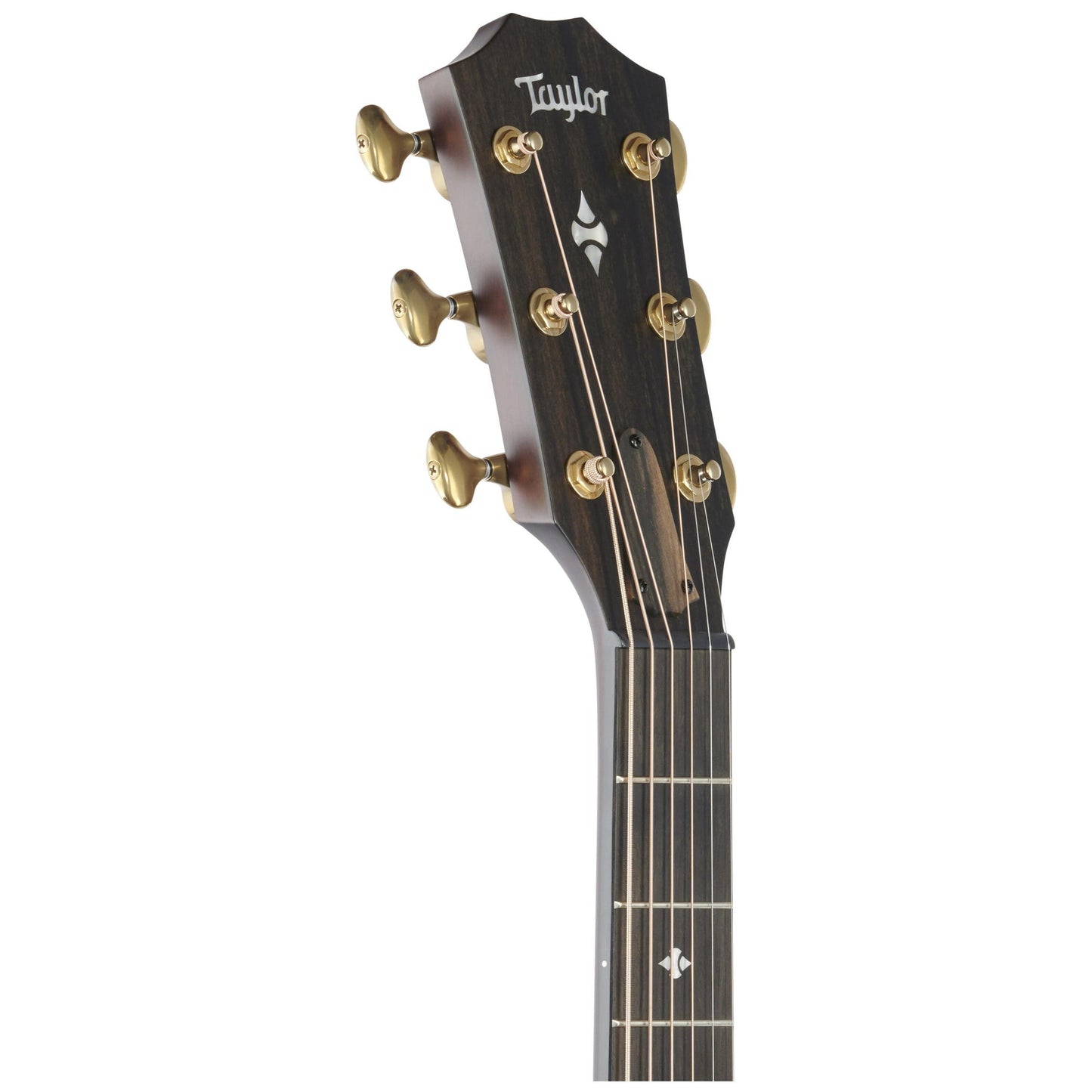 Taylor 324ce Builder's Edition Acoustic-Electric Guitar, Kona Burst