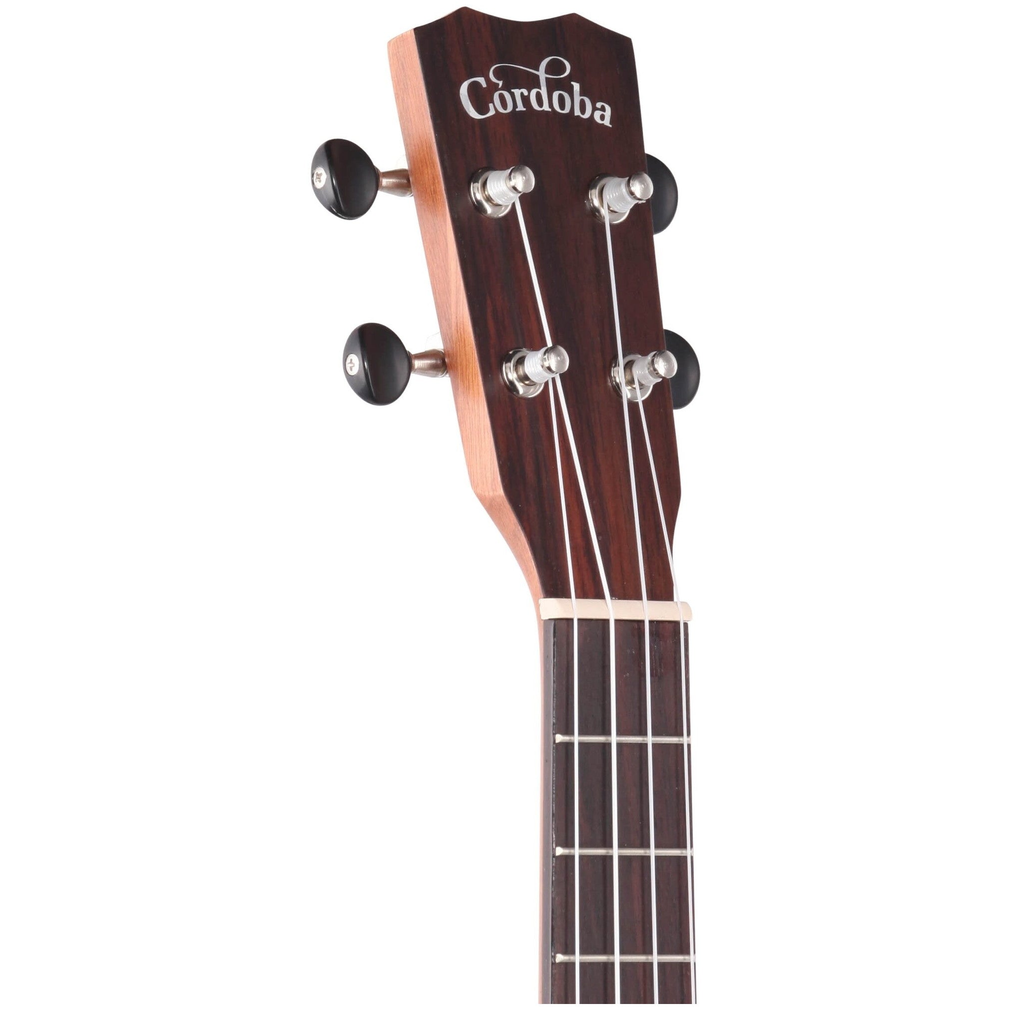 Cordoba 25T-CE Tenor Acoustic Electric Ukulele