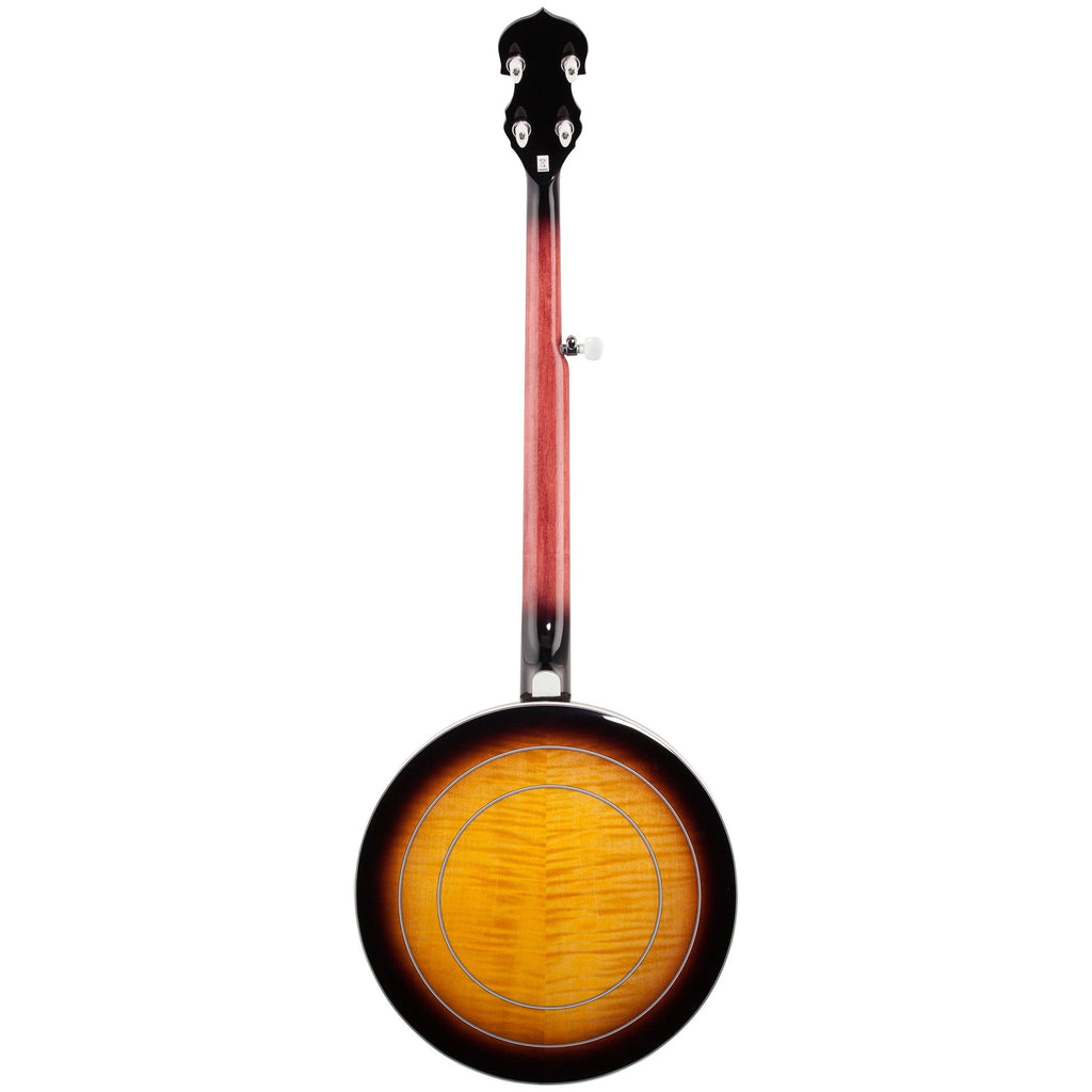 Washburn B16K Banjo - 5