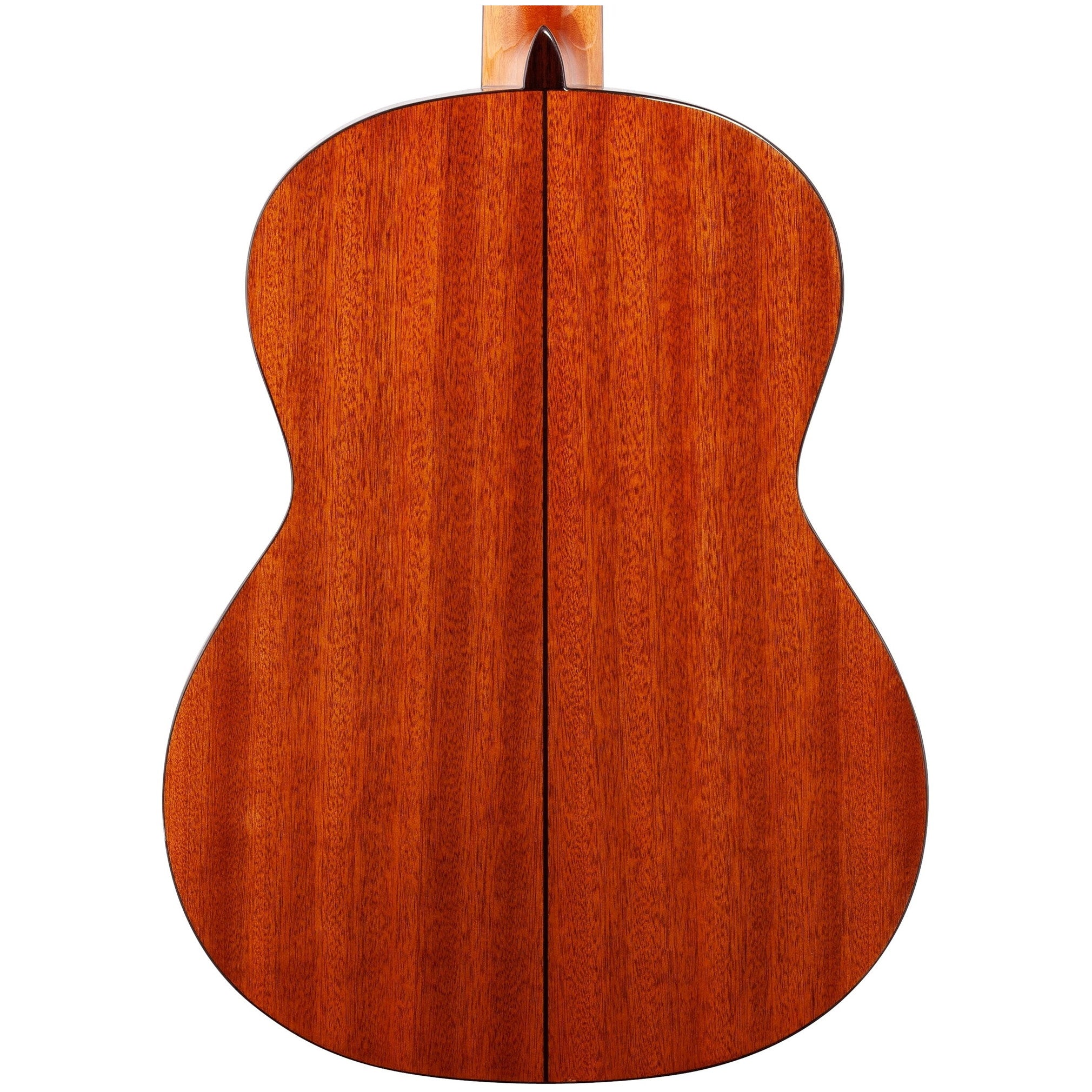 Cordoba C5 Spruce Classical Classical Acoustic Guitar