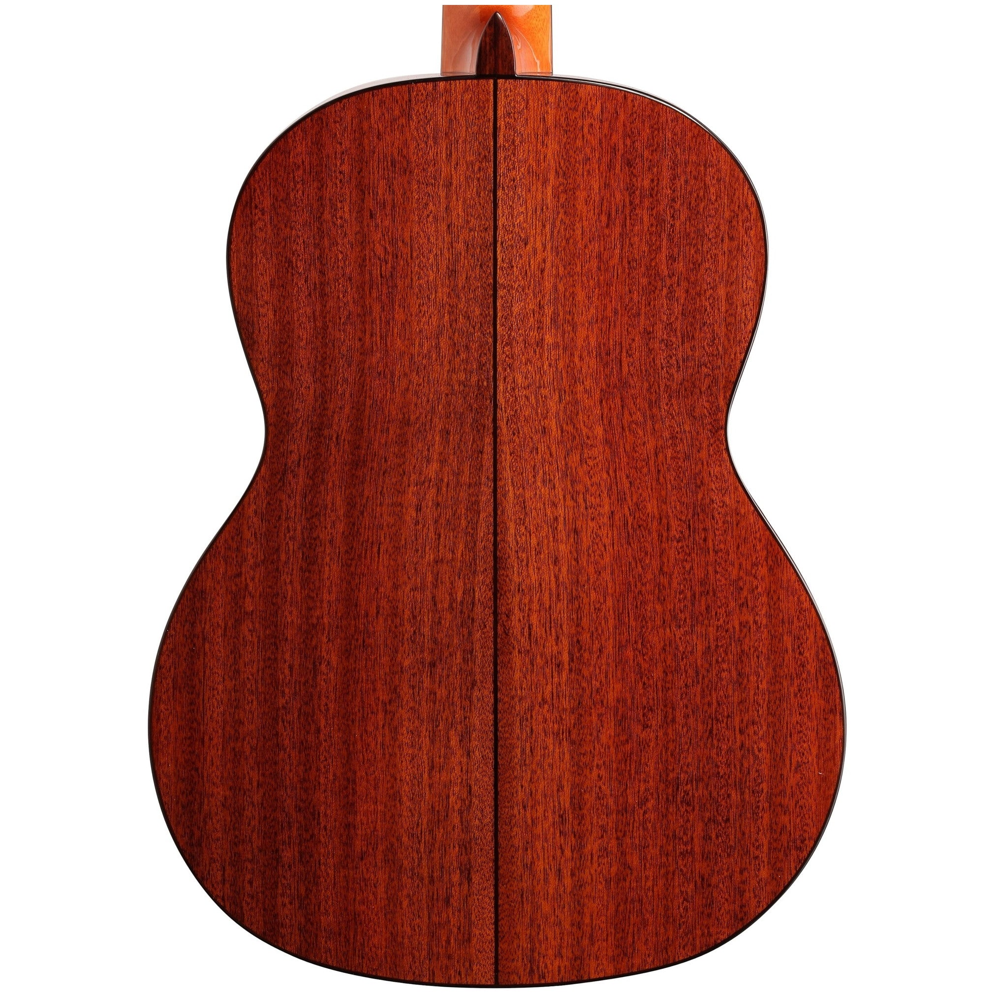 Cordoba C5 Cedar Classical Acoustic Guitar
