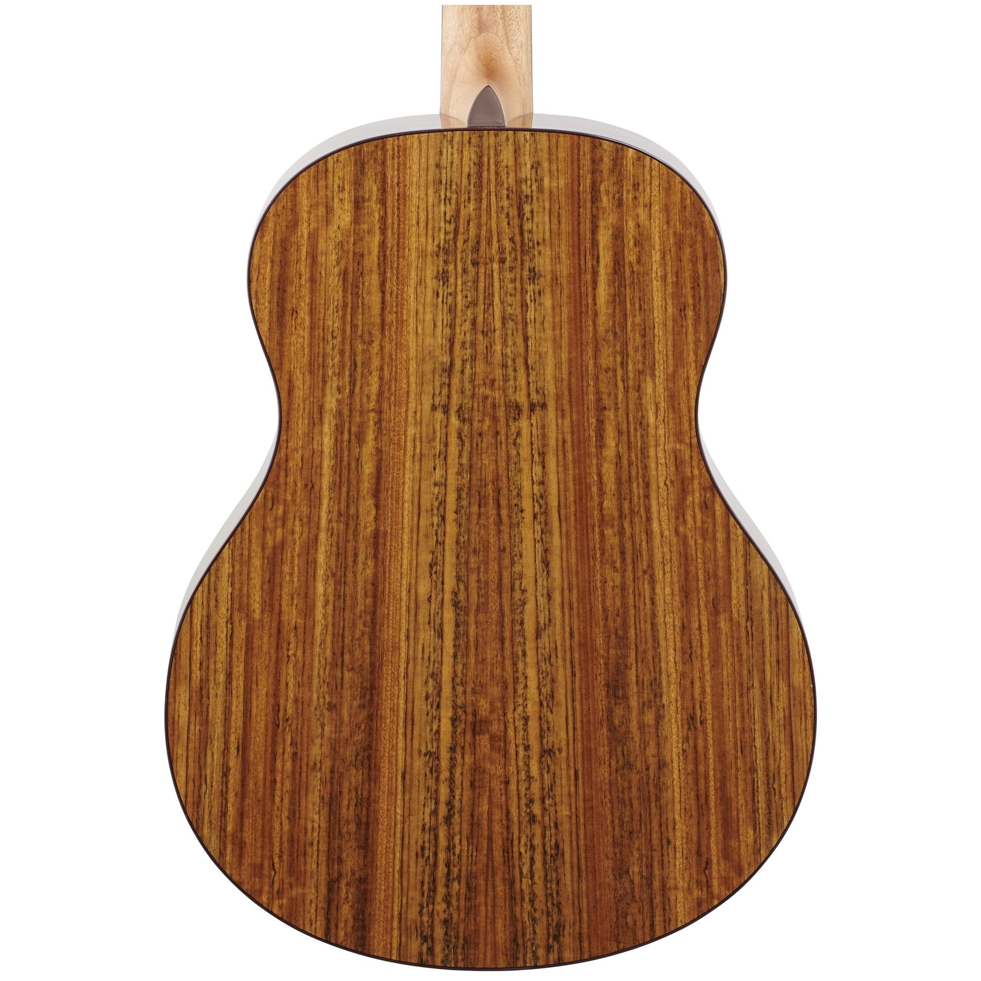 Washburn Bella Tono Novo S9 Charcoal Burst Acoustic Guitar - 6