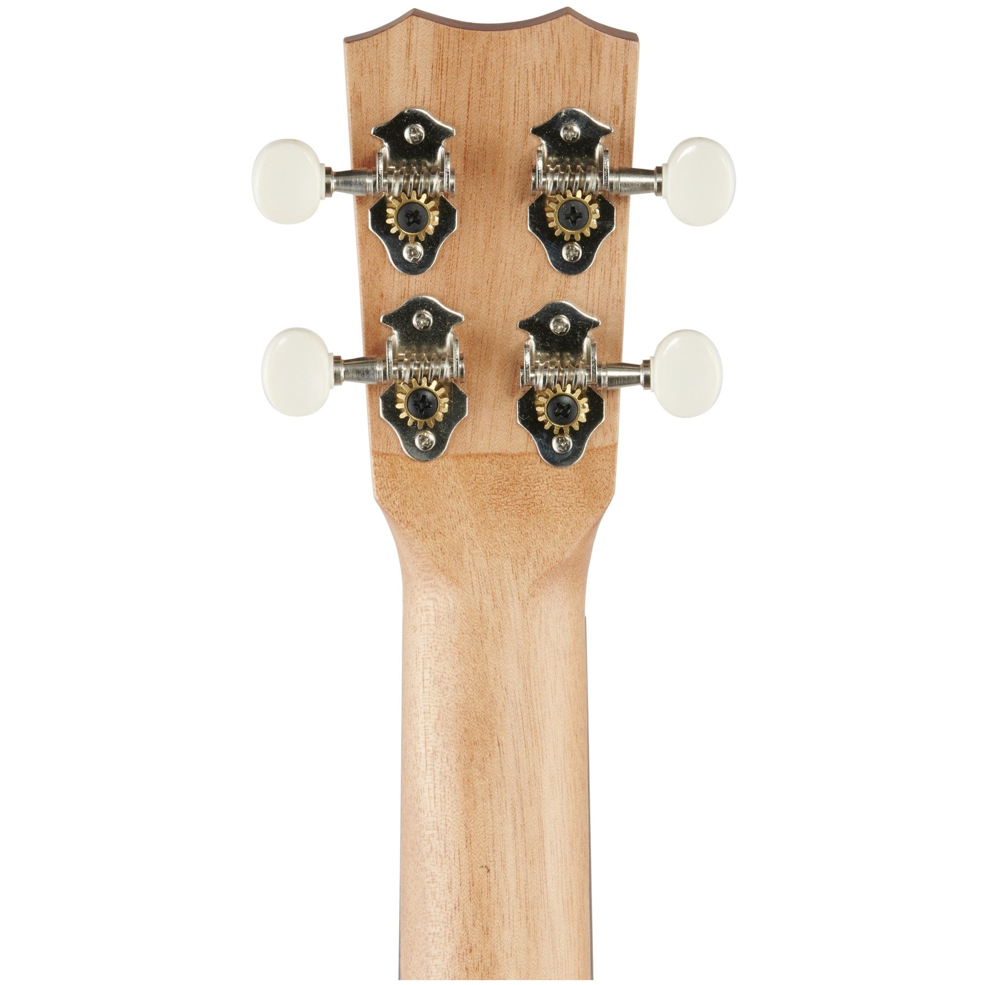 Cordoba Concert Ukulele Player Pack
