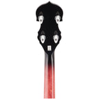 Washburn B16K Banjo - 8