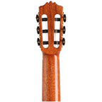 Cordoba C12 Spruce Classical Acoustic Guitar