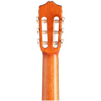 Cordoba C5 Cedar Classical Acoustic Guitar