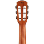 Alvarez AP66E Parlor Acoustic-Electric Guitar - Shadowburst