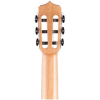 Cordoba Fusion 12 Classical String Acoustic-Electric Guitar