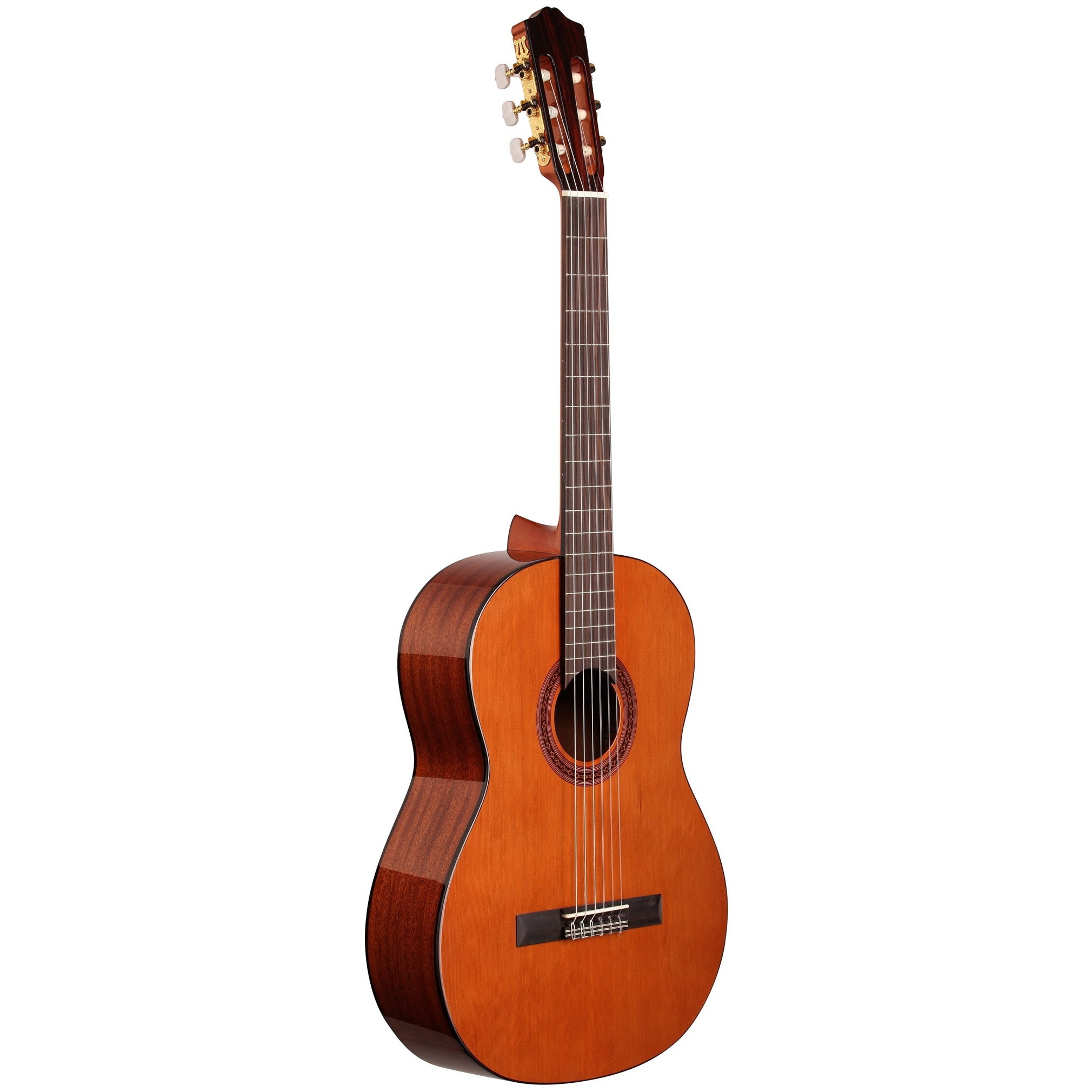Cordoba C5 Cedar Classical Acoustic Guitar