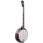 Washburn B16K Banjo - 4