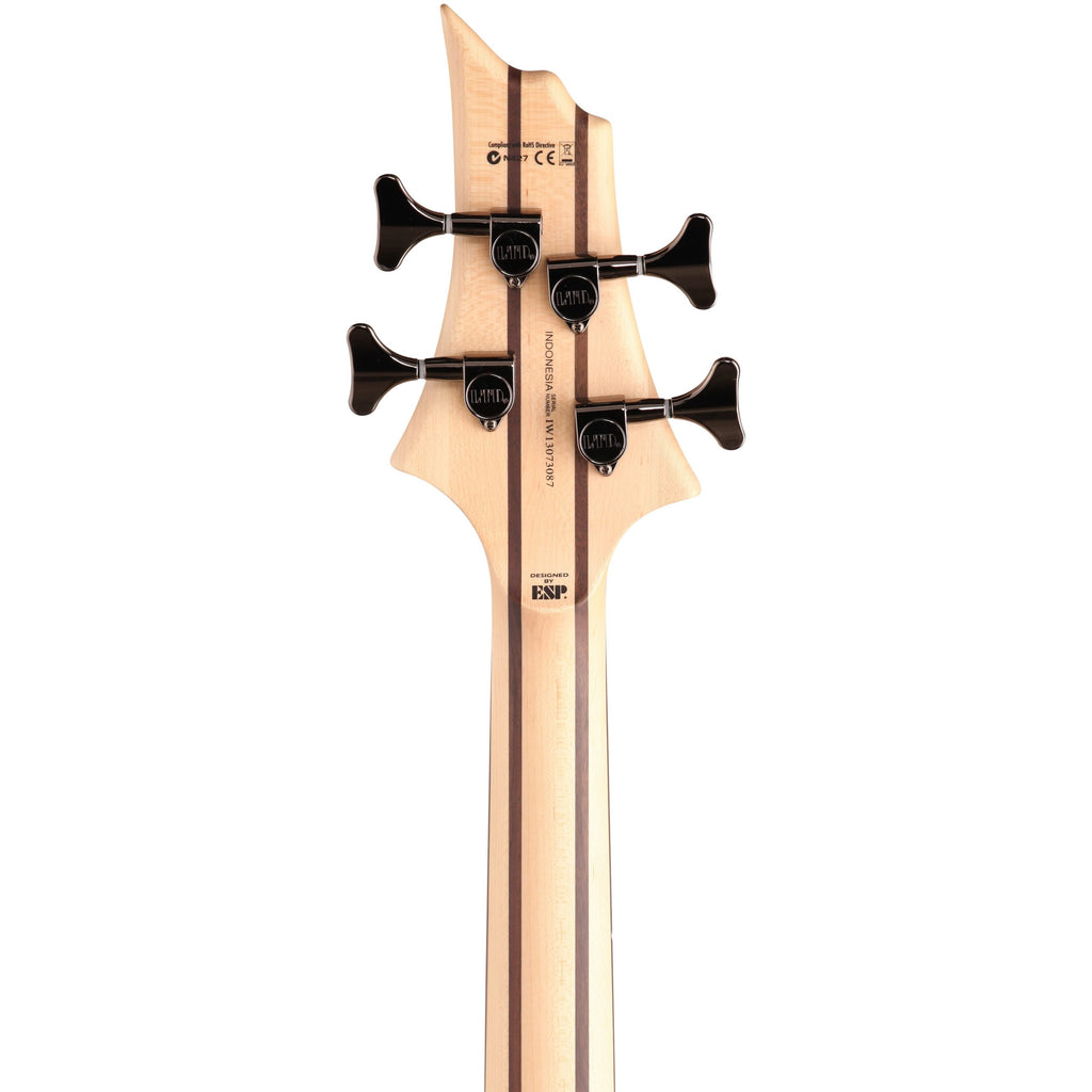 ESP LTD B204 Fretless Electric Bass, Natural Satin