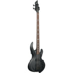 ESP LTD Tom Araya TA204FRX Electric Bass, Black Satin