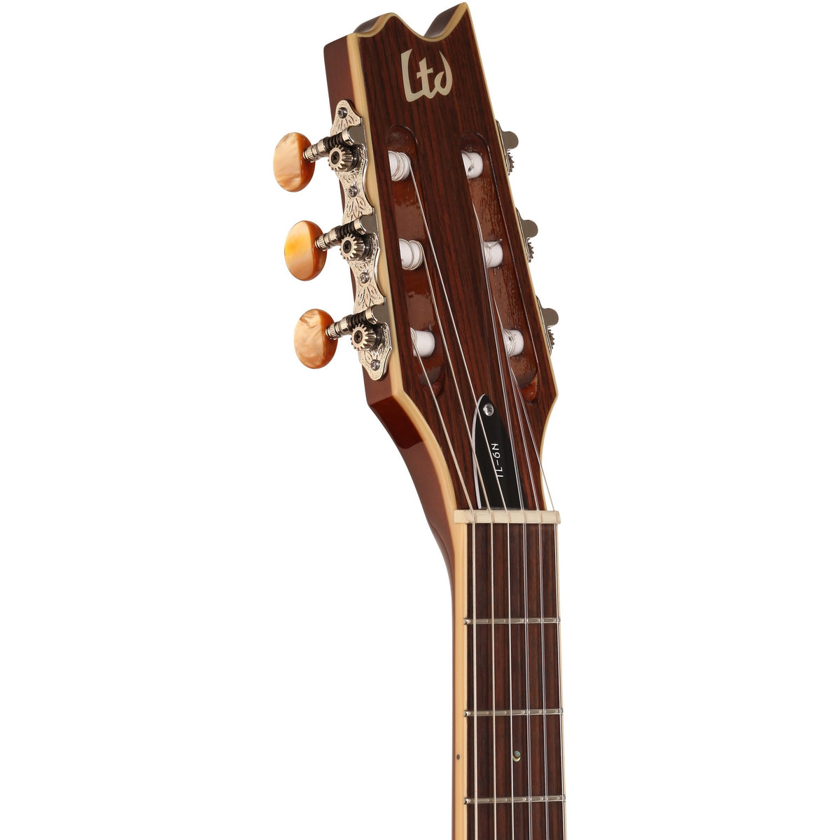 ESP LTD TL-6N Thinline-6 Nylon Classical Acoustic-Electric Guitar, Natural