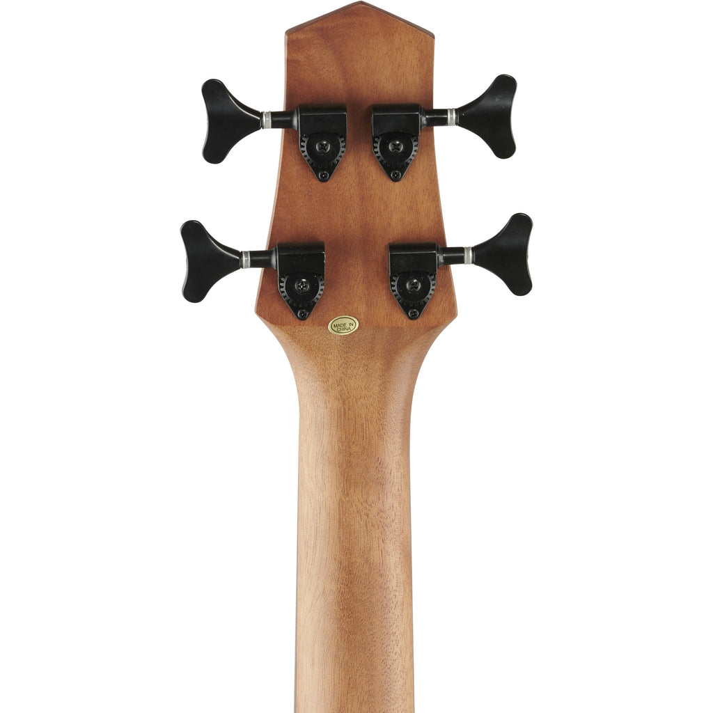 Gold Tone M-Bass 23 Acoustic-Electric Fretless Bass Guitar