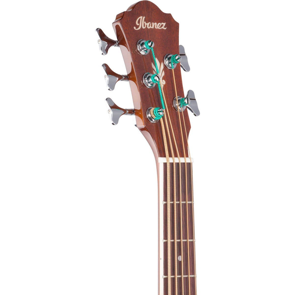 Ibanez AEB105E 5-String Acoustic-Electric Bass, Natural High-Gloss