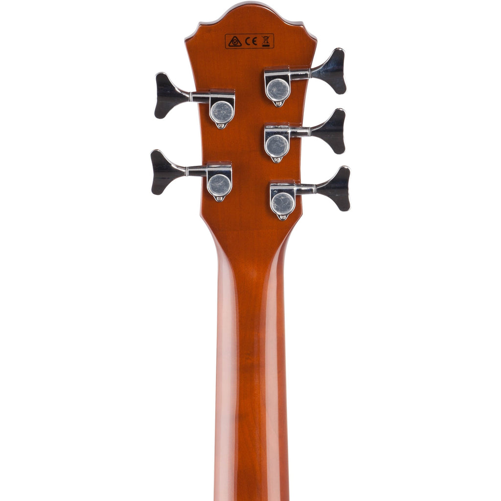 Ibanez AEB105E 5-String Acoustic-Electric Bass, Natural High-Gloss
