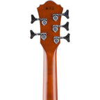 Ibanez AEB105E 5-String Acoustic-Electric Bass, Natural High-Gloss