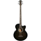 Michael Kelly Dragonfly 4 Fretless Acoustic-Electric Bass Guitar, Smoke Burst