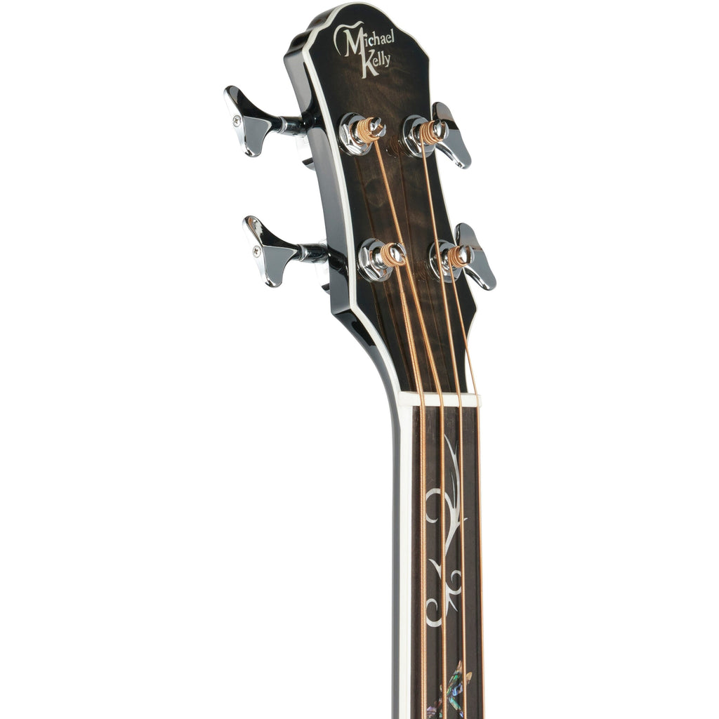 Michael Kelly Dragonfly 4 Fretless Acoustic-Electric Bass Guitar, Smoke Burst