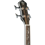 Michael Kelly Dragonfly 4 Fretless Acoustic-Electric Bass Guitar, Smoke Burst