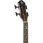 Michael Kelly Dragonfly 4 Port Acoustic-Electric Bass Guitar, Java