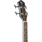Michael Kelly Dragonfly 4 Acoustic-Electric Bass Guitar, Smoke Burst