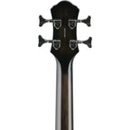 Michael Kelly Dragonfly 4 Acoustic-Electric Bass Guitar, Smoke Burst