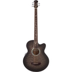 Michael Kelly Dragonfly 5-String Fretless Acoustic-Electric Bass Guitar, Java