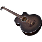 Michael Kelly Dragonfly 5-String Fretless Acoustic-Electric Bass Guitar, Java