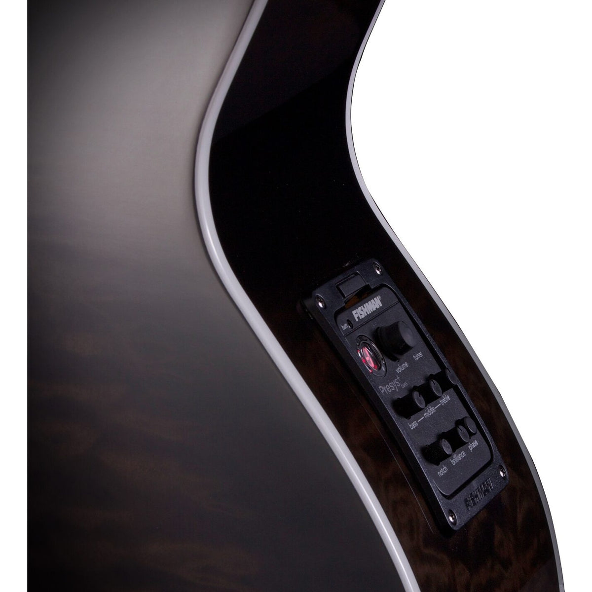 Michael Kelly Dragonfly 5-String Fretless Acoustic-Electric Bass Guitar, Java