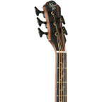 Michael Kelly Dragonfly 5-String Acoustic-Electric Bass Guitar, Java