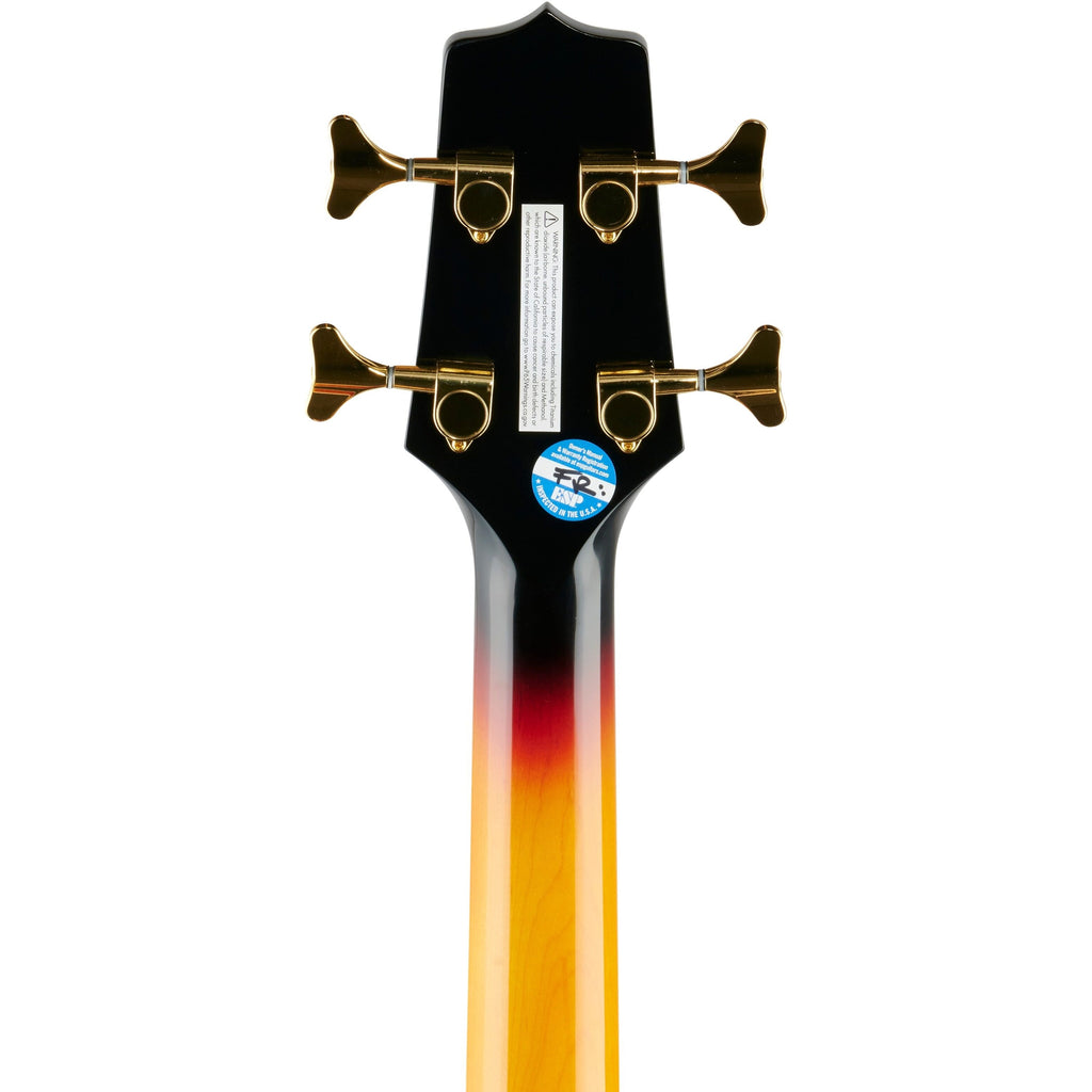 Takamine GB72CE Jumbo Acoustic-Electric Bass, Sunburst