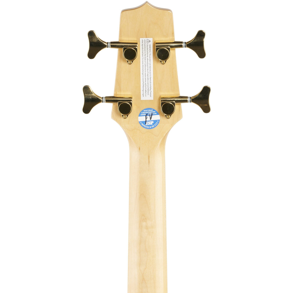 Takamine GB72CE Jumbo Acoustic-Electric Bass, Natural