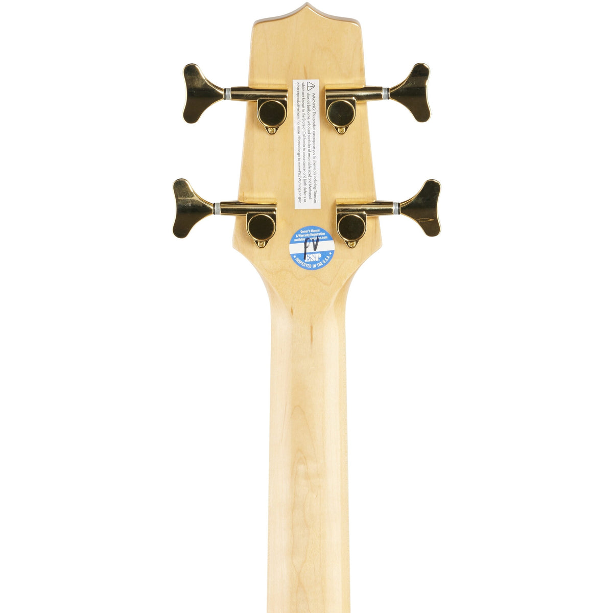 Takamine GB72CE Jumbo Acoustic-Electric Bass, Natural