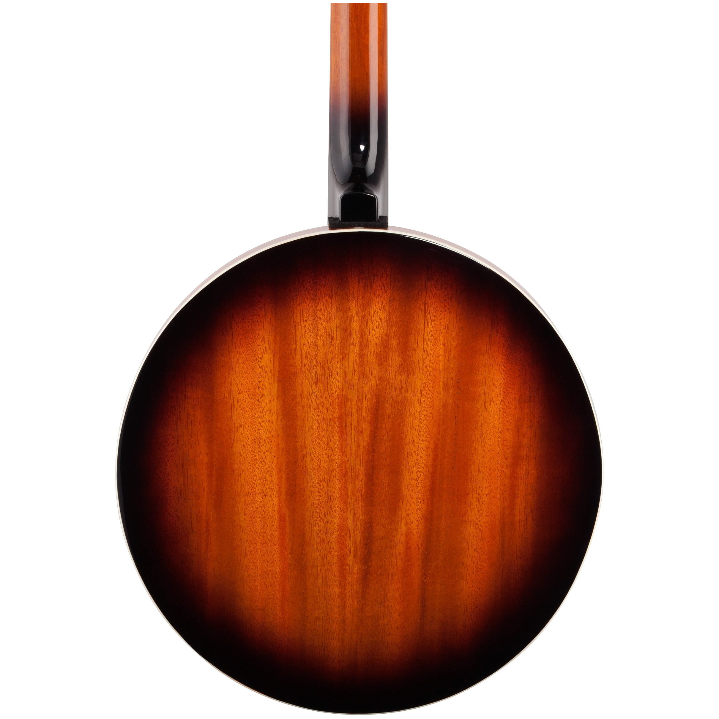 Washburn B10 Banjo - 5