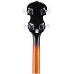 Washburn B10 Banjo - 8