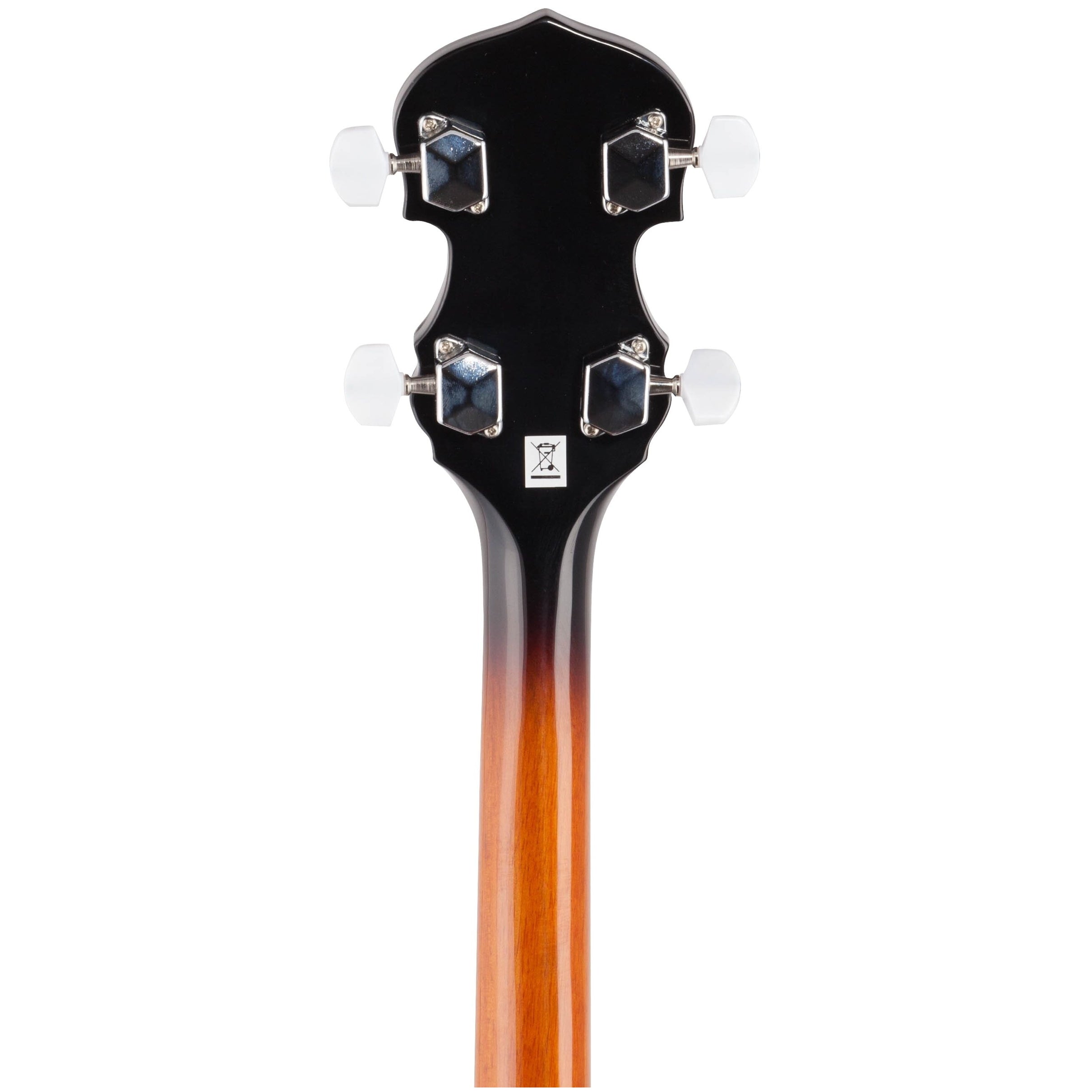 Washburn B10 Banjo - 8