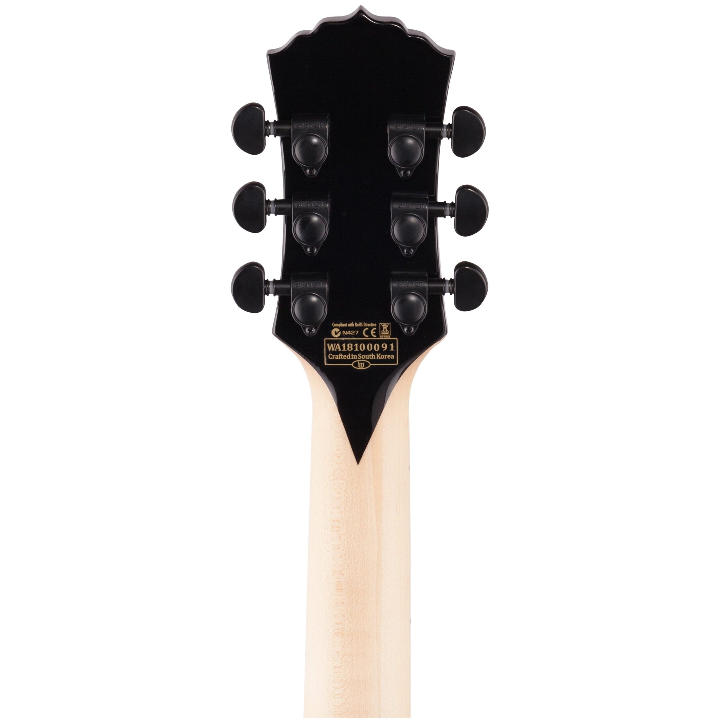 Wylde Audio Odin Grail Rawtop Electric Guitar