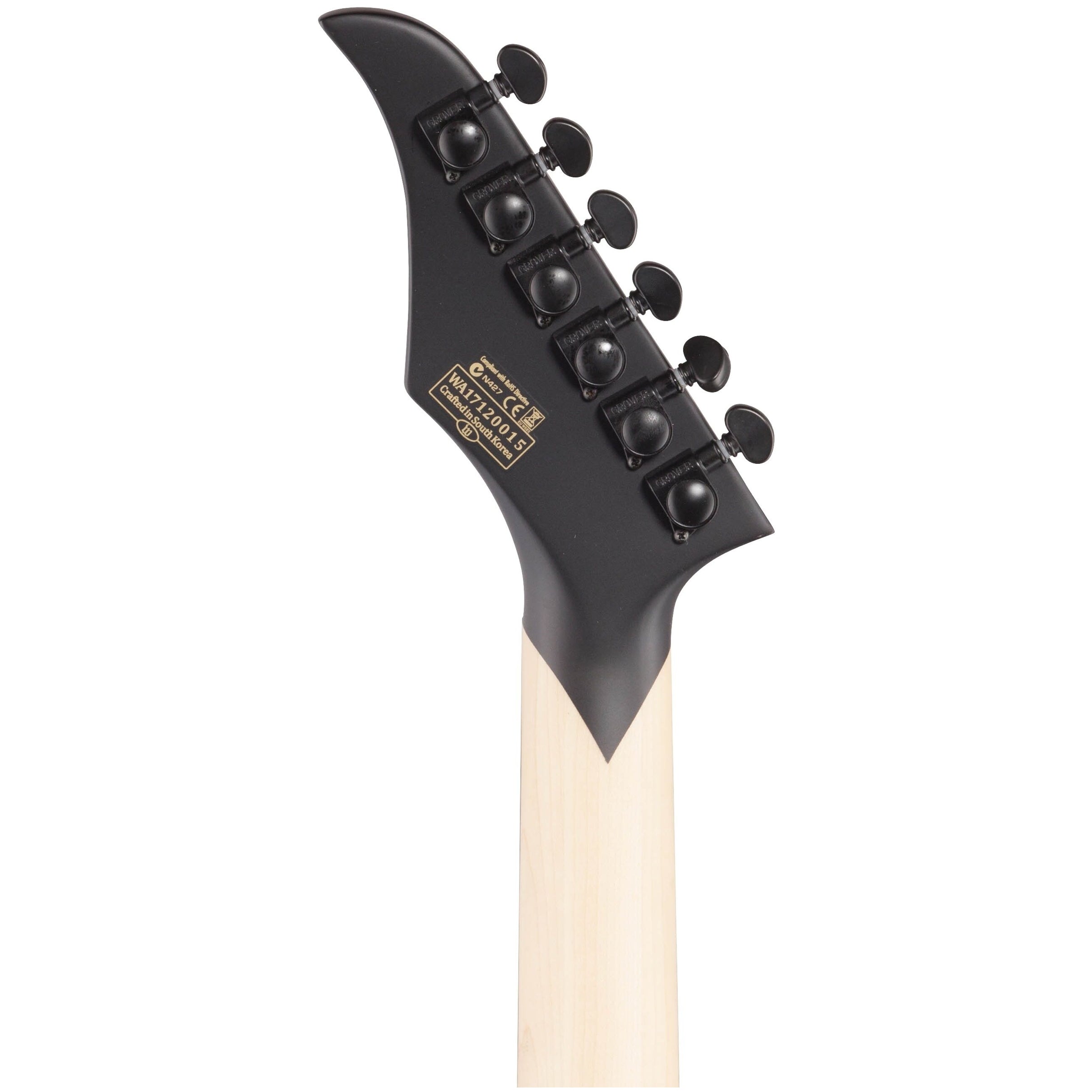 Wylde Audio Blood Eagle Mahogany Blackout Electric Guitar