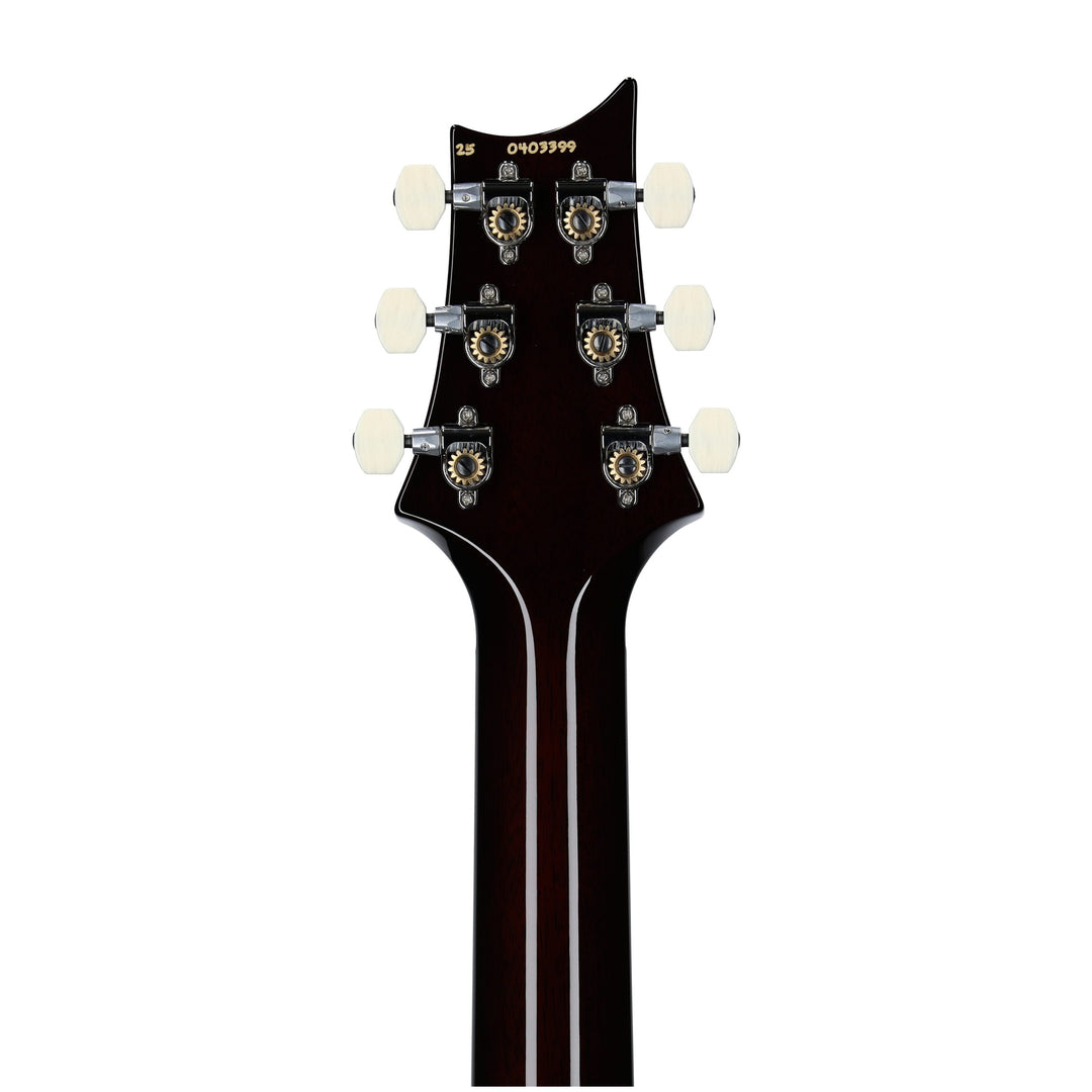 PRS Paul Reed Smith DGT Electric Guitar, McCarty Tobacco Sunburst