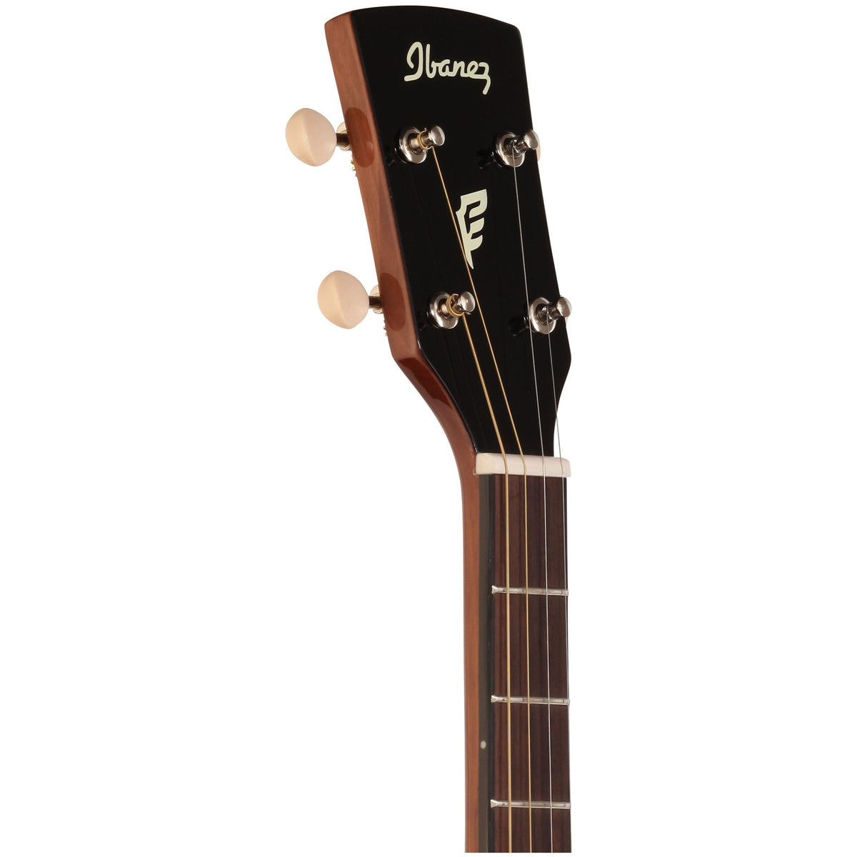 Ibanez PFT2 Tenor Acoustic Guitar, Natural