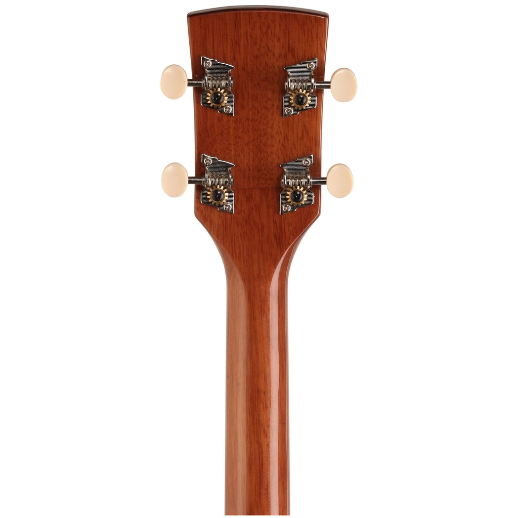 Ibanez PFT2 Tenor Acoustic Guitar, Natural