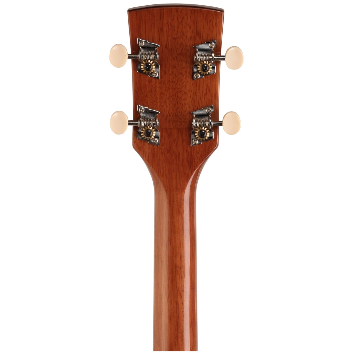 Ibanez PFT2 Tenor Acoustic Guitar, Natural