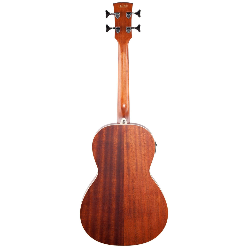 Ibanez PNB14E Performance Parlor Acoustic-Electric Bass Guitar, Open Pore Natural