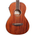 Ibanez PNB14E Performance Parlor Acoustic-Electric Bass Guitar, Open Pore Natural