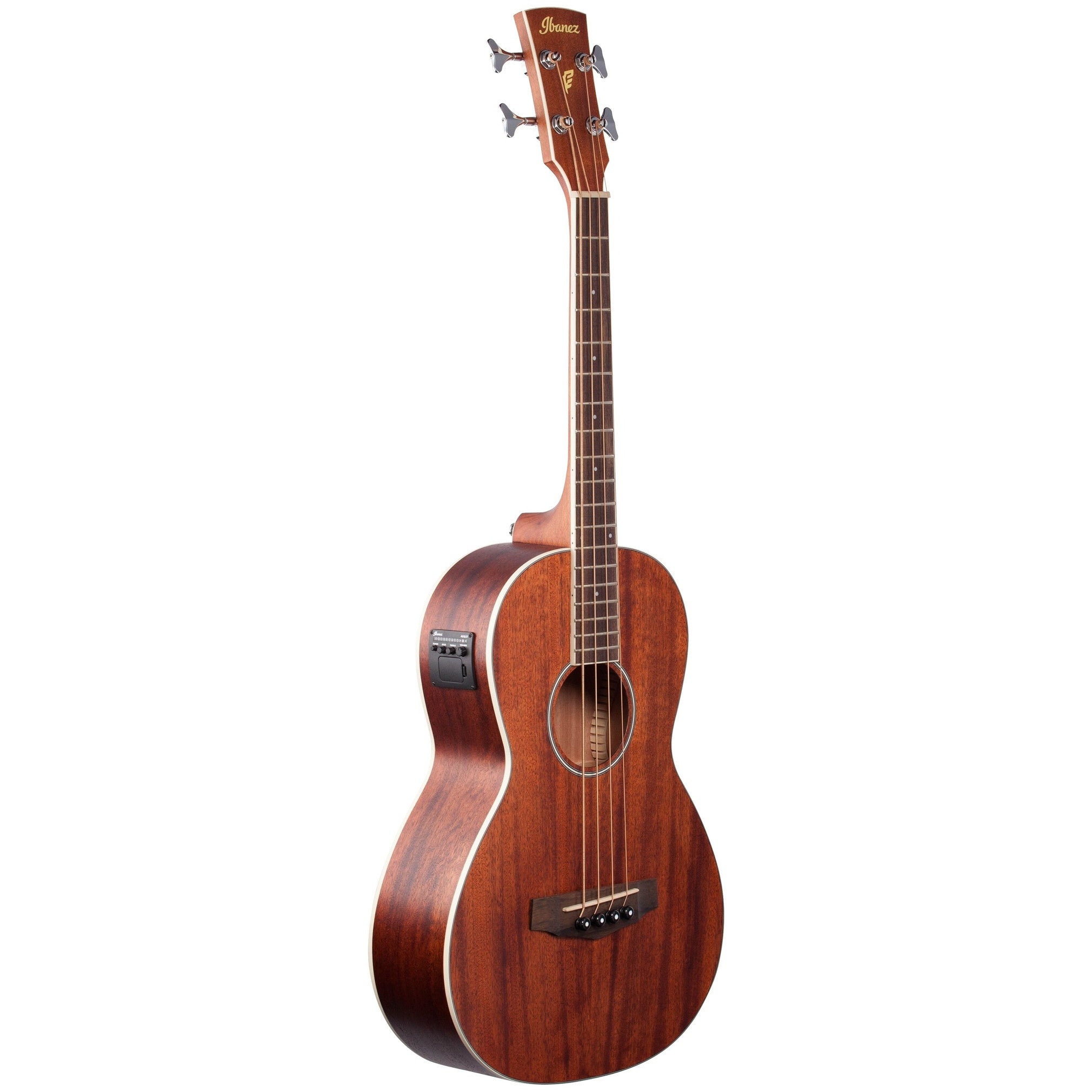 Ibanez PNB14E Performance Parlor Acoustic-Electric Bass Guitar, Open Pore Natural